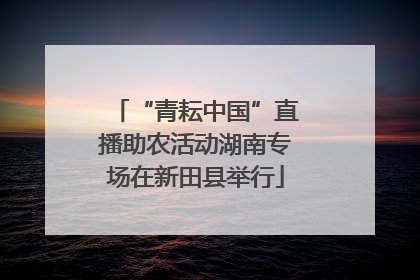 “青耘中国”直播助农活动湖南专场在新田县举行