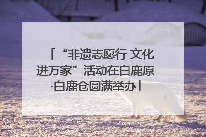 “非遗志愿行 文化进万家”活动在白鹿原·白鹿仓圆满举办