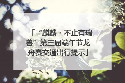 “麒麟・不止有瑞兽”第三届端午节龙舟赛交通出行提示