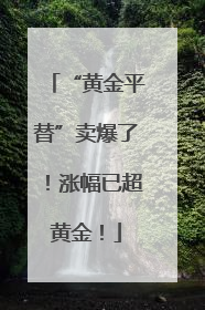 “黄金平替”卖爆了！涨幅已超黄金！