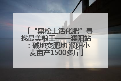 “黑松土活化肥”寻找最美粮王——濮阳站：碱地变肥地 濮阳小麦亩产1500多斤