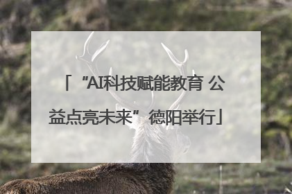 “AI科技赋能教育 公益点亮未来”德阳举行