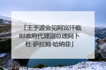 王予波会见阿富汗临时政府代理副总理阿卜杜·萨拉姆·哈纳菲