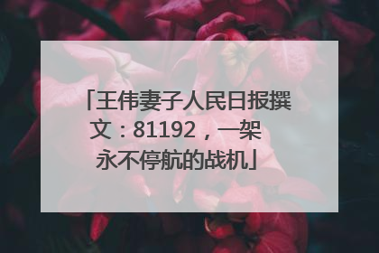 王伟妻子人民日报撰文：81192，一架永不停航的战机