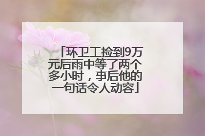 环卫工捡到9万元后雨中等了两个多小时，事后他的一句话令人动容