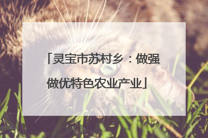 灵宝市苏村乡：做强做优特色农业产业