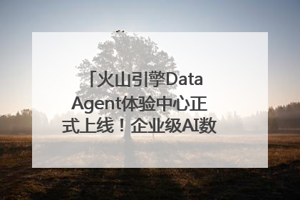 火山引擎Data Agent体验中心正式上线！企业级AI数据专家触手可及