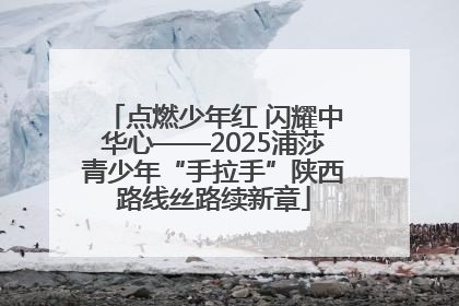 点燃少年红 闪耀中华心——2025浦莎青少年“手拉手”陕西路线丝路续新章