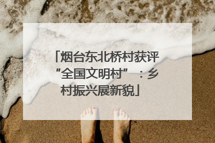 烟台东北桥村获评“全国文明村”：乡村振兴展新貌