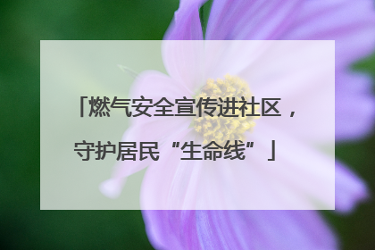 燃气安全宣传进社区，守护居民“生命线”