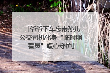 爷爷下车忘带孙儿 公交司机化身“临时照看员”暖心守护