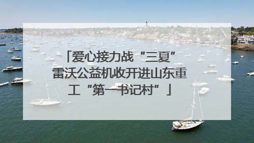 爱心接力战“三夏” 雷沃公益机收开进山东重工“第一书记村”