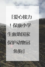 爱心接力！保康小学生救助国家保护动物冠鱼狗
