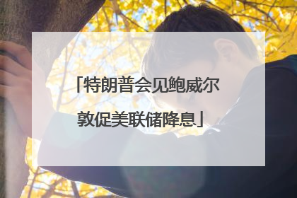 特朗普会见鲍威尔 敦促美联储降息
