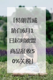 特朗普威胁自6月1日起对欧盟商品征收50%关税