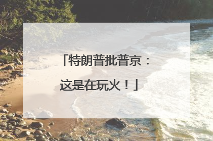 特朗普批普京：这是在玩火！