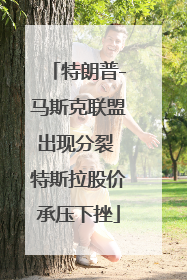 特朗普-马斯克联盟出现分裂 特斯拉股价承压下挫