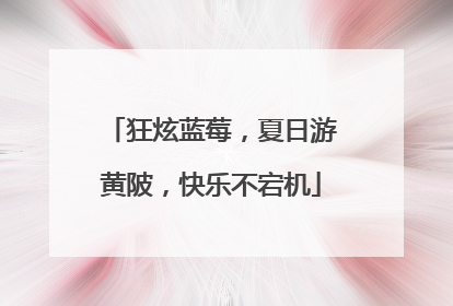 狂炫蓝莓，夏日游黄陂，快乐不宕机
