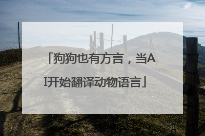 狗狗也有方言，当AI开始翻译动物语言