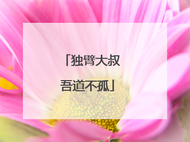独臂大叔 吾道不孤