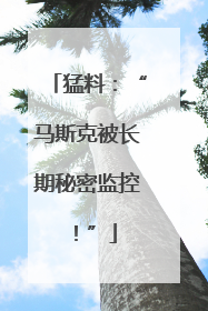 猛料：“马斯克被长期秘密监控！”
