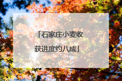 石家庄小麦收获进度约八成