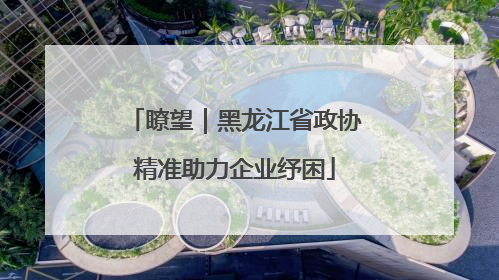 瞭望｜黑龙江省政协精准助力企业纾困