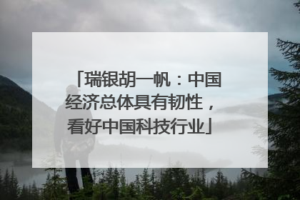 瑞银胡一帆：中国经济总体具有韧性，看好中国科技行业