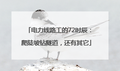 电力线路工的72时辰：爬陡坡钻隧道，还有其它