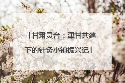 甘肃灵台：津甘共建下的针灸小镇振兴记