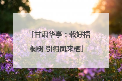 甘肃华亭：栽好梧桐树 引得凤来栖