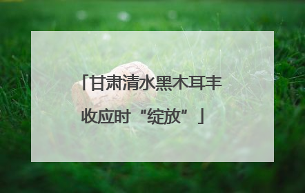 甘肃清水黑木耳丰收应时“绽放”