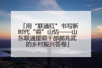 用“联通红”书写新时代“疆”山情——山东联通援疆干部郝兆武的乡村振兴答卷