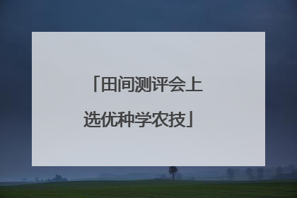 田间测评会上选优种学农技