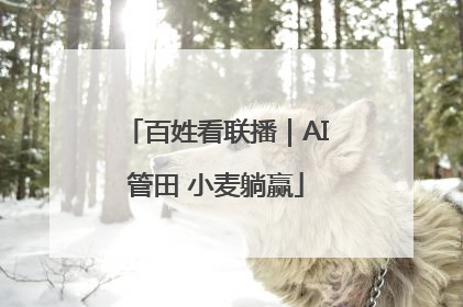 百姓看联播｜AI管田 小麦躺赢