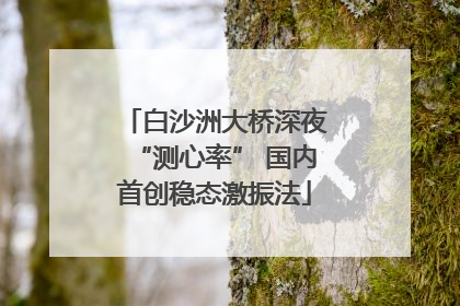 白沙洲大桥深夜“测心率” 国内首创稳态激振法