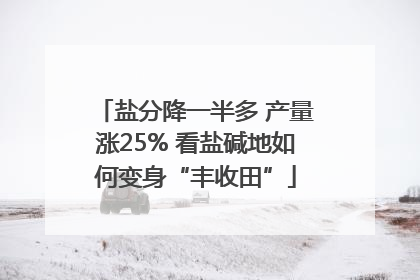 盐分降一半多 产量涨25% 看盐碱地如何变身“丰收田”