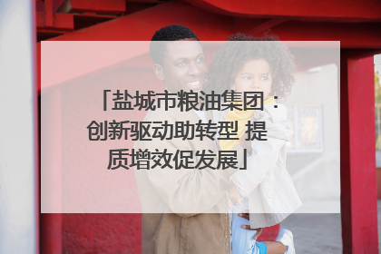 盐城市粮油集团：创新驱动助转型 提质增效促发展