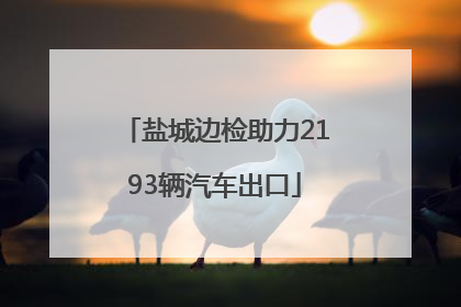 盐城边检助力2193辆汽车出口