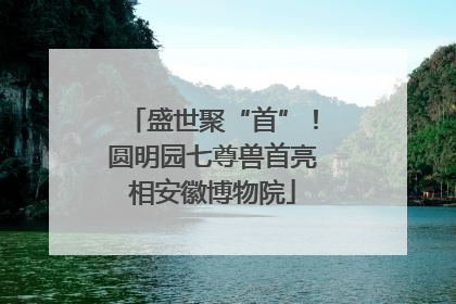 盛世聚“首”！圆明园七尊兽首亮相安徽博物院