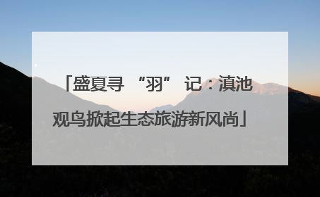 盛夏寻 “羽” 记：滇池观鸟掀起生态旅游新风尚