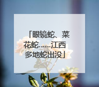 眼镜蛇、菜花蛇……江西多地蛇出没