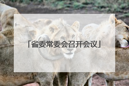 省委常委会召开会议
