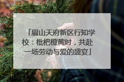 眉山天府新区行知学校：枇杷橙黄时，共赴一场劳动与爱的盛宴