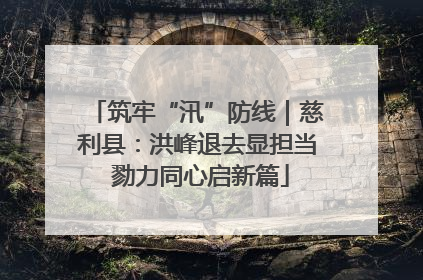 筑牢“汛”防线｜慈利县：洪峰退去显担当 勠力同心启新篇