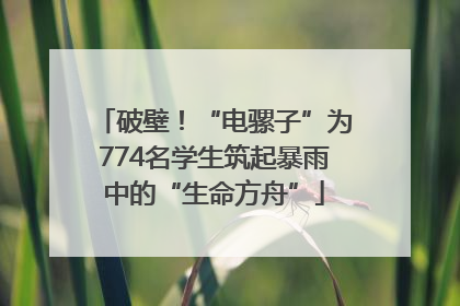 破壁！“电骡子”为774名学生筑起暴雨中的“生命方舟”