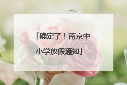 确定了！南京中小学放假通知