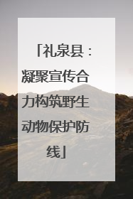 礼泉县：凝聚宣传合力构筑野生动物保护防线