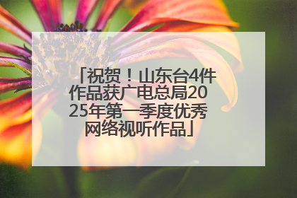 祝贺！山东台4件作品获广电总局2025年第一季度优秀网络视听作品