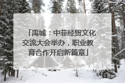 禹城：中菲经贸文化交流大会举办，职业教育合作开启新篇章